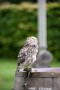 Thumbs/tn_Castlefest 2017 zondag 042.jpg